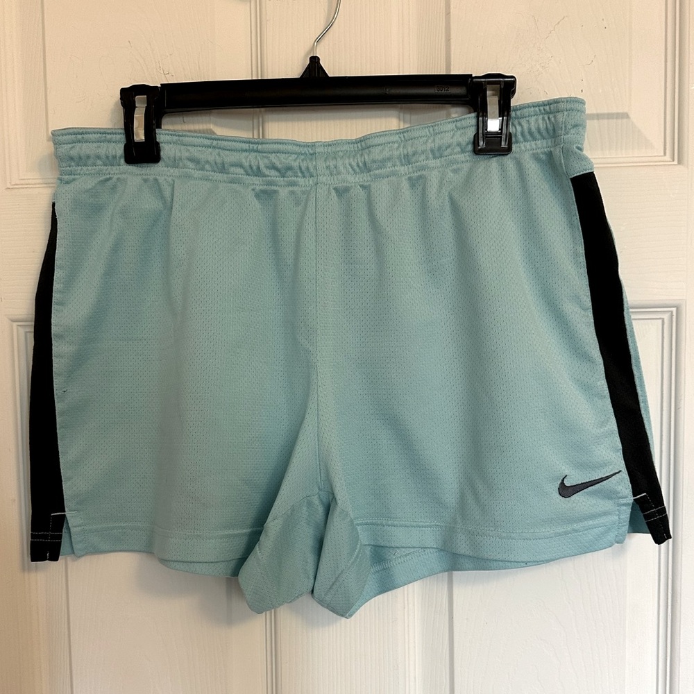 Nike Light Blue Athletic Shorts, size L